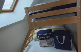 La forêt des Marmottes - Photo 19