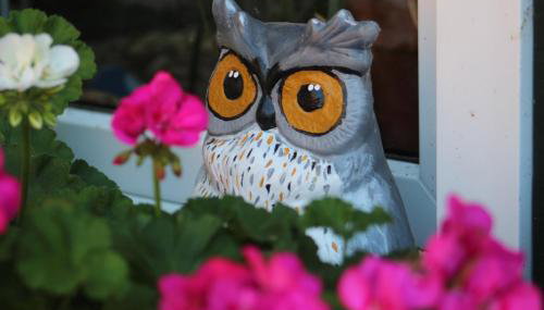 Gut Huthmacherhof - Foto 5