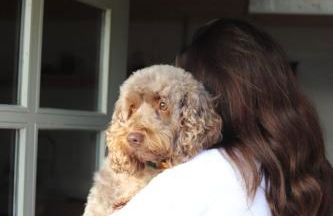 Cosy Couples Retreat at THE COOP with Hot Tub - Foto 17