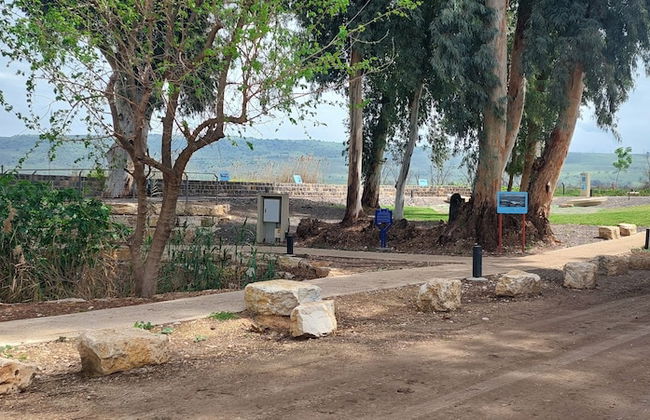 Villa & Lode Bat Galil - Photo 63