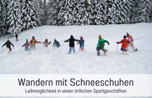 Biohof Burger, 3 sonnige Fewo, alle mit Balkon, Spielzimmer, Grillhütte, 7 km vor Oberstdorf - Photo 63