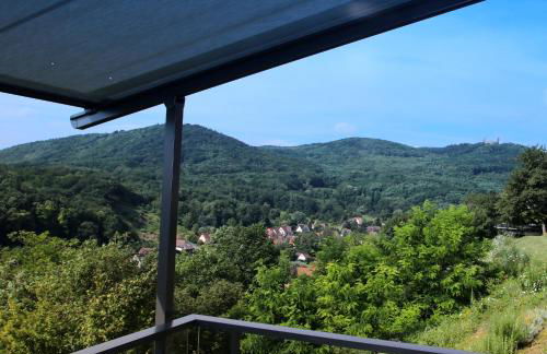 Alsace Panorama - Photo 33