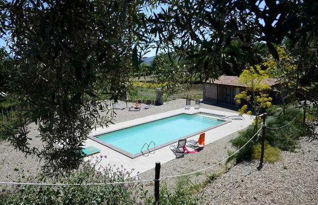 Il Tanaceto - Foto 25