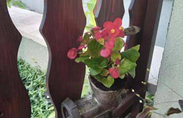 Apartman Bepo - Photo 7