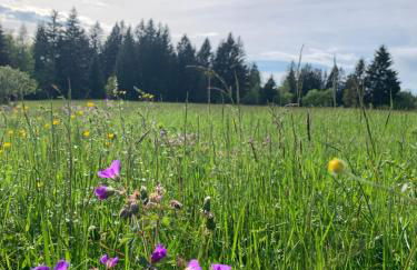 Haus Anna EG - Foto 16