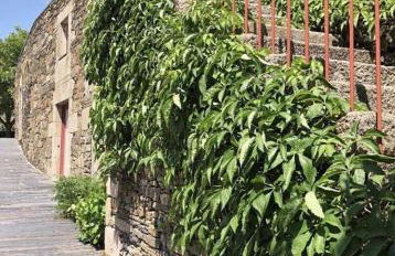 Morgadio da Calcada Douro Wine&Tourism - Photo 18