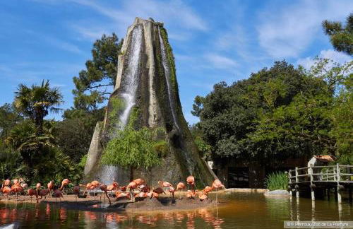 Maison 4/6 personnes de 50 m² - Foto 16