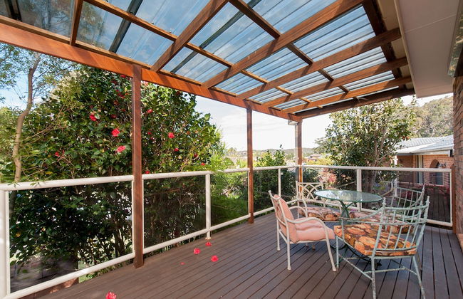 Wildflowers at Fingal Bay - Photo 18