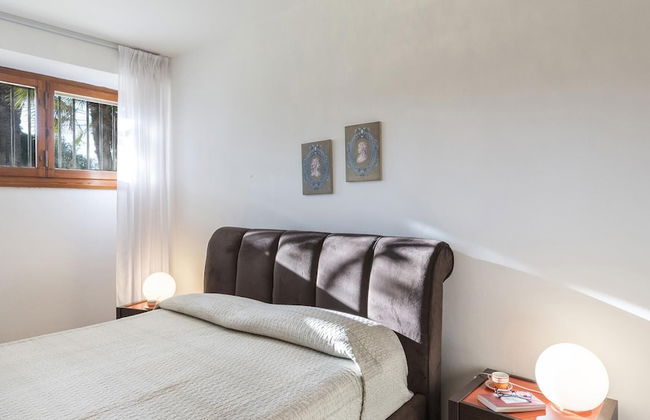 Ms-f023-manz11at - Il Renzito 8 - Foto 50