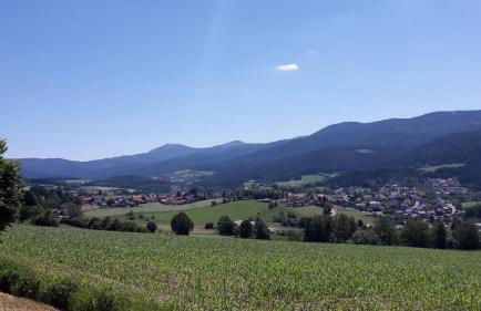 Am Postgarten - Foto 16