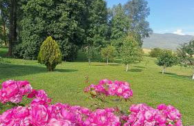 Apartman Kristina - Photo 9