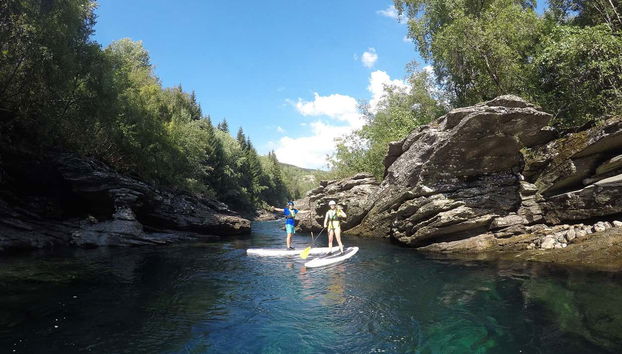 Um casal remando a bordo das pranchas de paddle surf