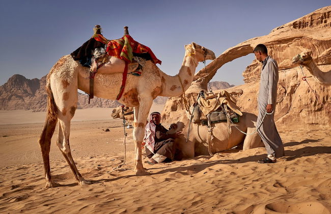 Wild Oryx Camp Bubbles - Foto 80