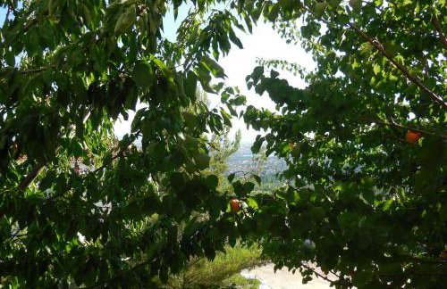 Apartments Jukic - Foto 37