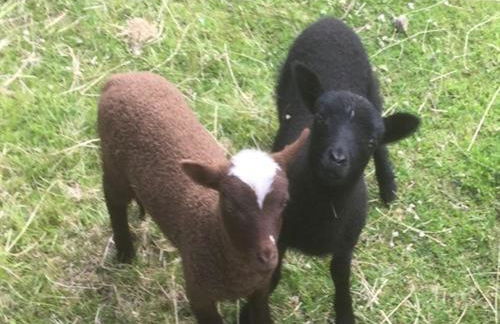 The Red Barn - Photo 26