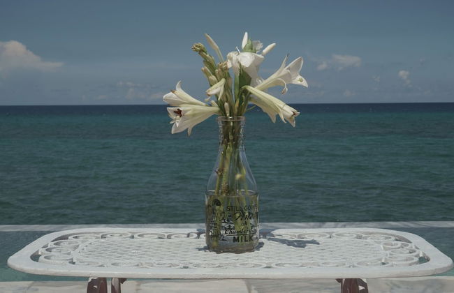 Holiday rental in Havana with swimming pool and terrace - Foto 55