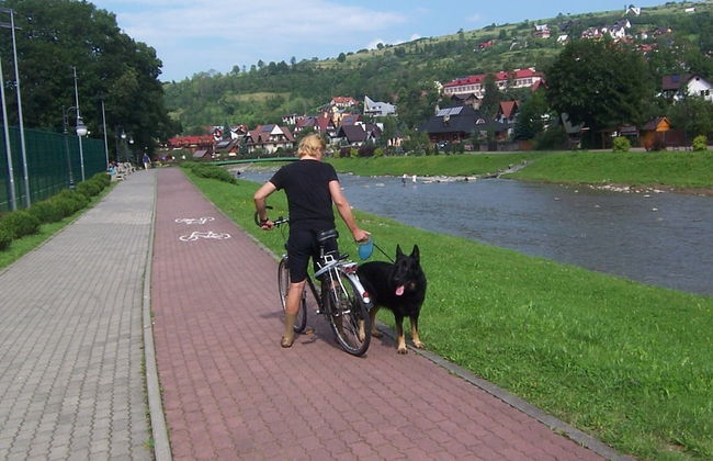 Jaworki Green Dream - Foto 33