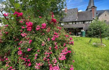 300 Jahre altes renoviertes Fachwerkhaus - Foto 10