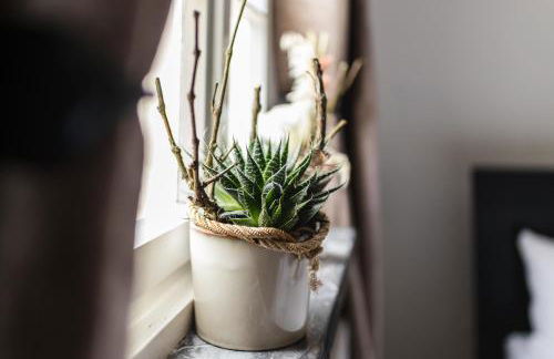 Seminarhaus Heim Retreat, Fachwerkhaus von 1451, Yoga, Naturgarten für 10 Personen - Foto 62