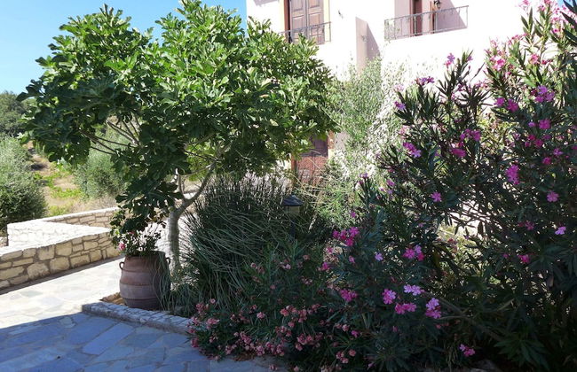 Villa in Axos With Pool Near Panormo Beach - Foto 16