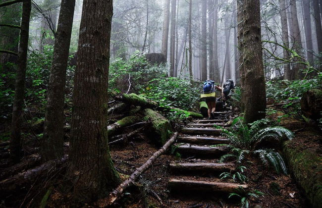 The Great Escape Secluded with Hot Tub - Foto 41