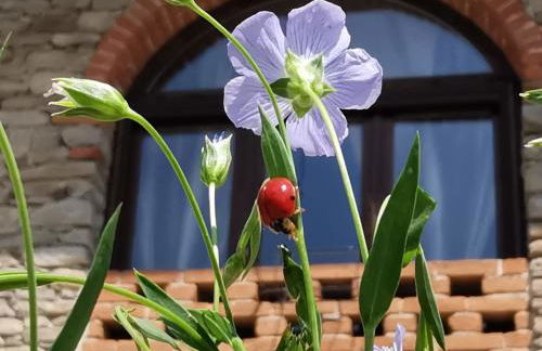 Agriturismo Mondo - Foto 1