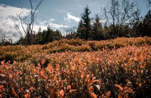 Look into the country Comfortable holiday residence - Foto 21