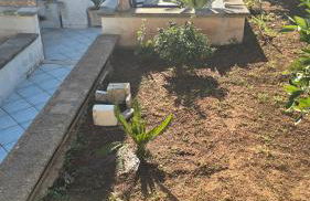 Mauricarol Residences - Foto 5