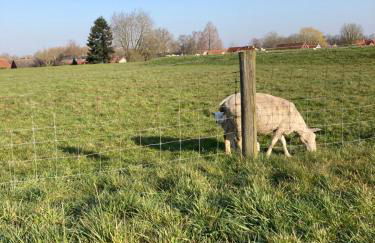 Lindas Diekblick, ! 2 Schlafzimmer!EG mit Terrasse - Foto 20