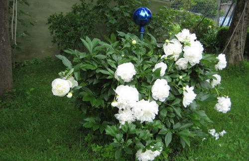 Ferienwohnung Spessart - Foto 21