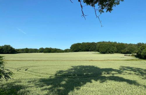 Schöne Wohnung mit Garten beim Outletcenter 5 km - Foto 48