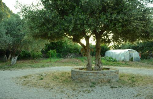 Ellinospito - Photo 44