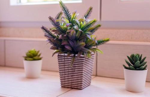 Apartments Korita - Foto 51