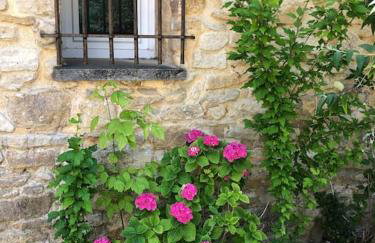 Mazet Magnan, Rustic Luxury in Provence - Foto 31