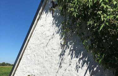 Ferienhaus Norddeichkieker -Nähe Büsum - Foto 34