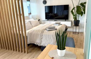 Das 1 Zimmer Apartment - Foto 4