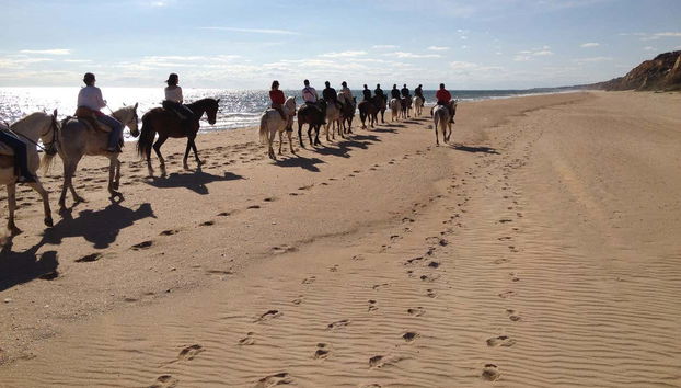 Doñana National Park Horse Riding Tour - Photo 2, Horseriding through the Doñana National Park