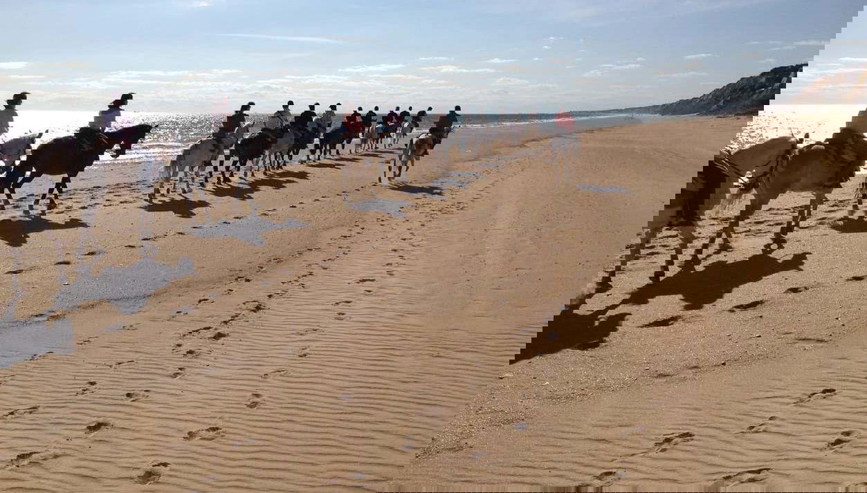 Rota pelo Parque Nacional de Doñana
