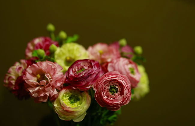 Solar Dos Cáceres - Foto 35