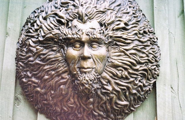 DeHart Cabin - Foto 21