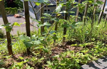 Blockhaus in herrlicher Umgebung - Foto 20