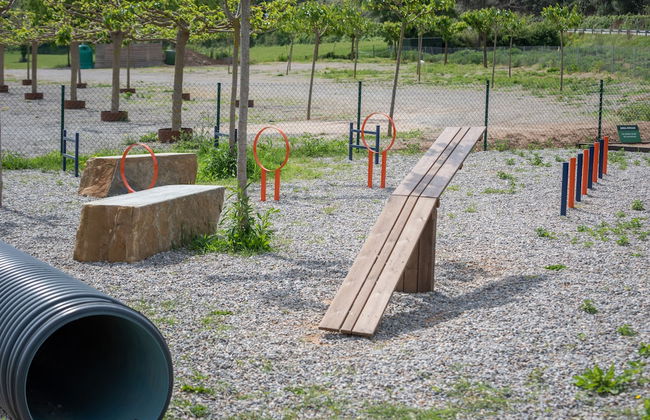 L'Arcada de Fares - Photo 42