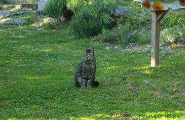 Agriturismo Becerca Vegan - Foto 63