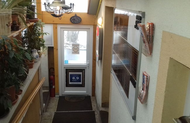 Apart & Wellness Hotel VILLA IVICA - Foto 2