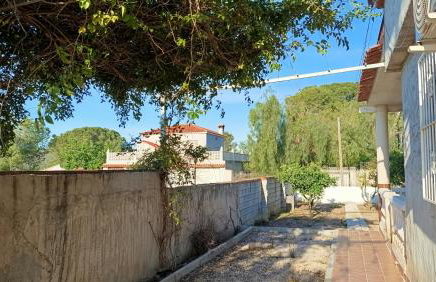 Finca La Senorita - Foto 58