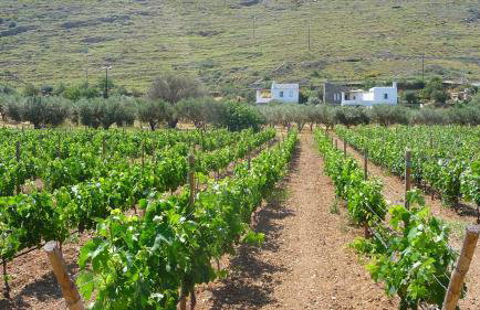 Red Tractor Farm - Foto 9