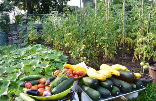 Modern Beautiful Apartment-5 Beds-Full Kitchen-Parking-Super Clean-Great for Groups - Foto 21