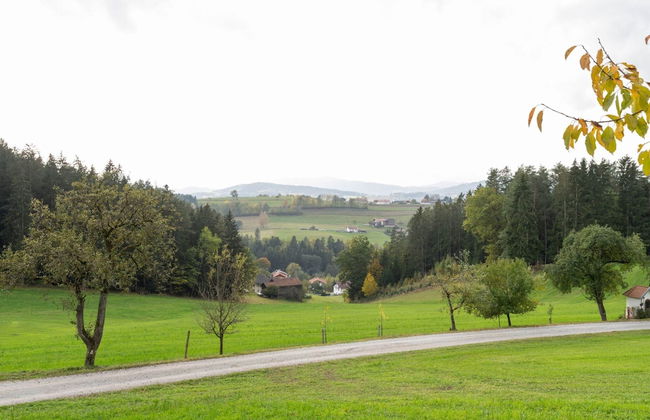 Idyllic Holiday Home With Forest Nearby - Photo 32
