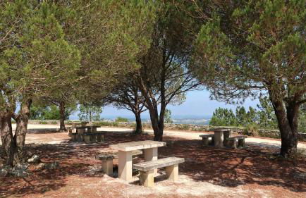 Singer's Lounge - Foto 33