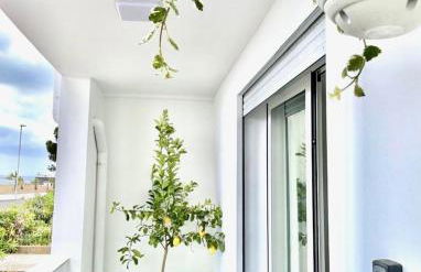 Windsurf Beach Front - Photo 49